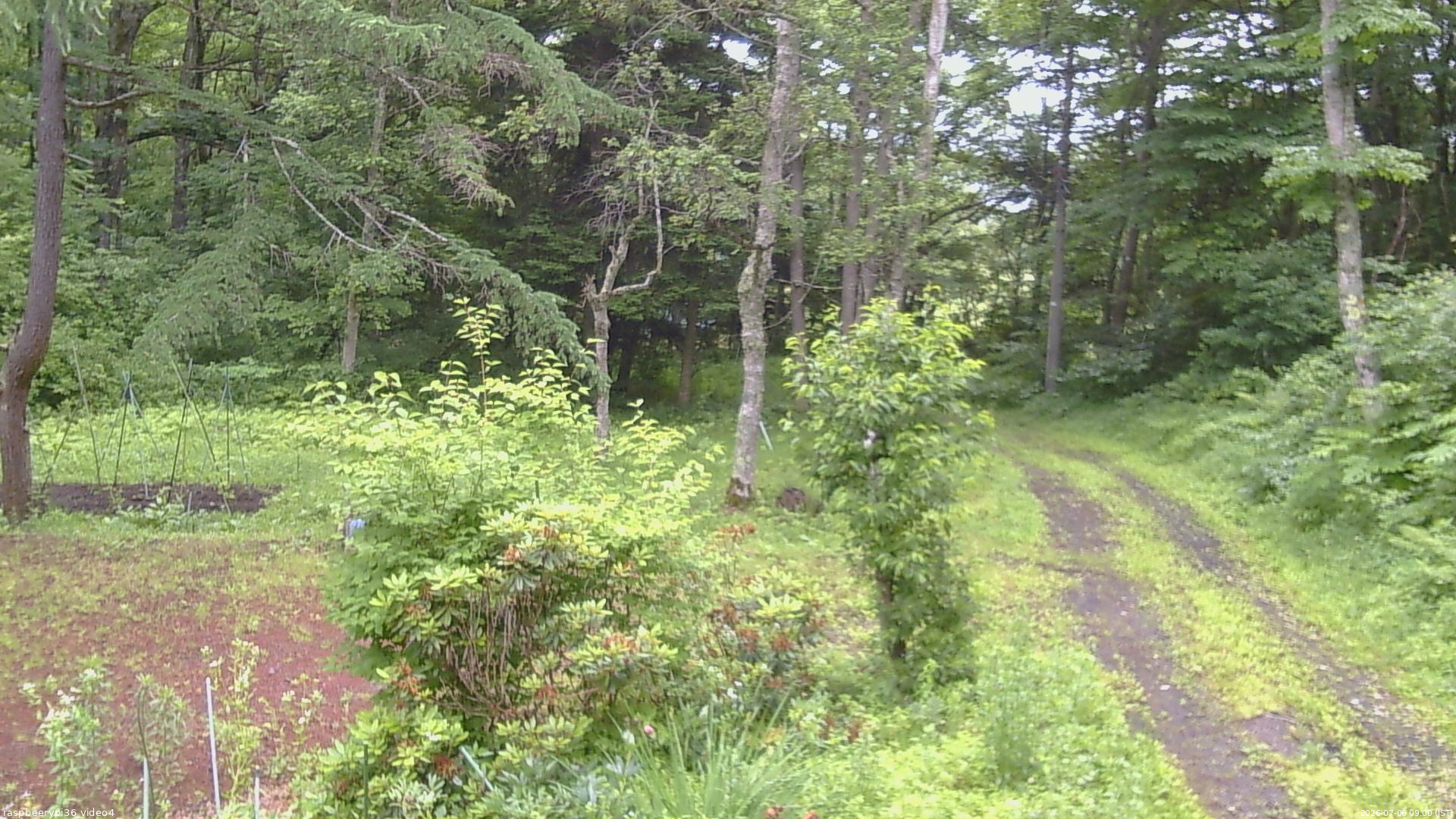 長野県菅平高原 ゆたか山荘 坂上 2026/07/06 09:00