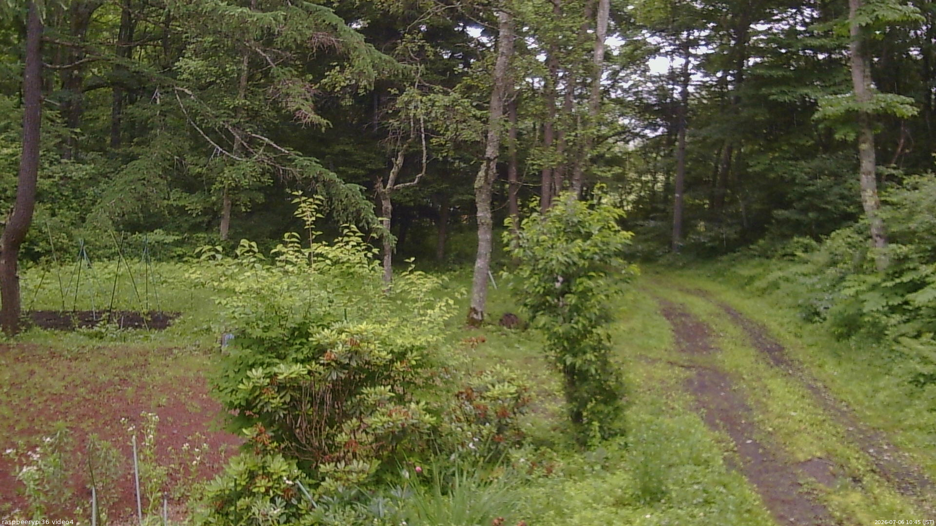 長野県菅平高原 ゆたか山荘 坂上 2026/07/06 10:45