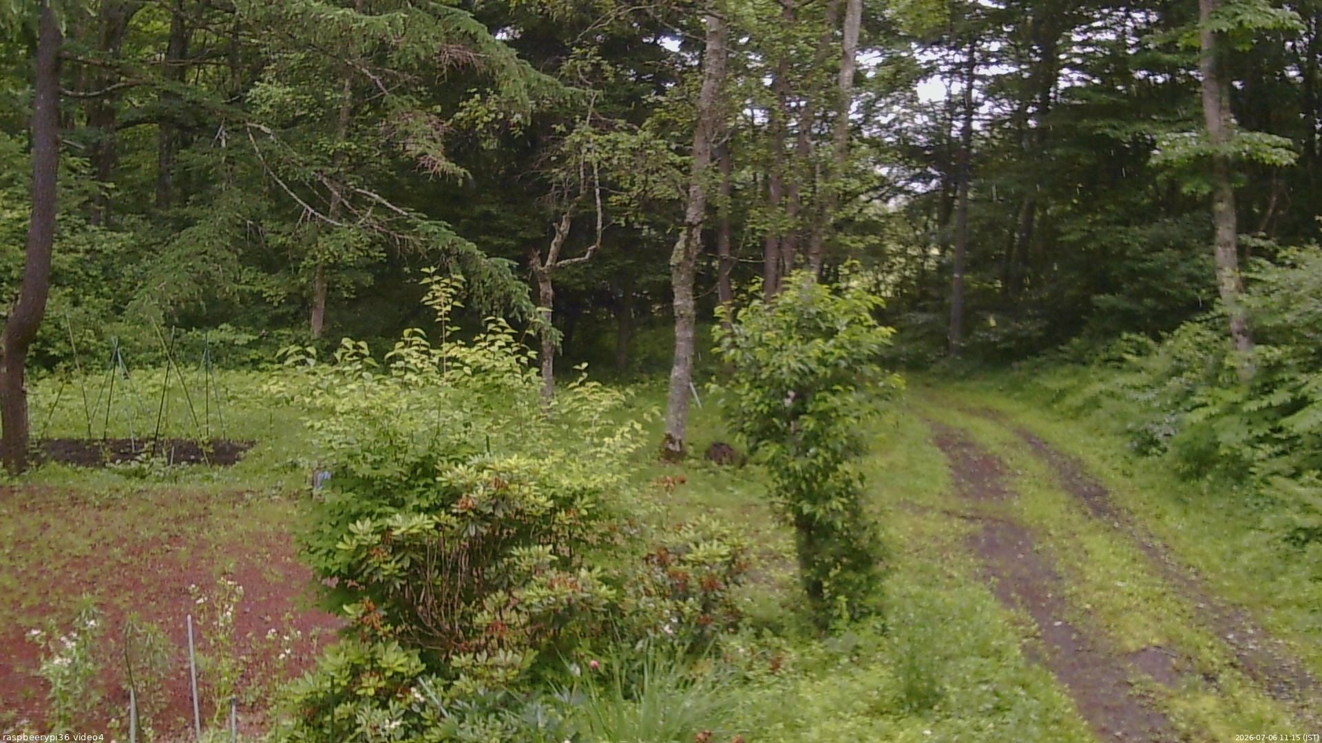 長野県菅平高原 ゆたか山荘 坂上 2026/07/06 11:15