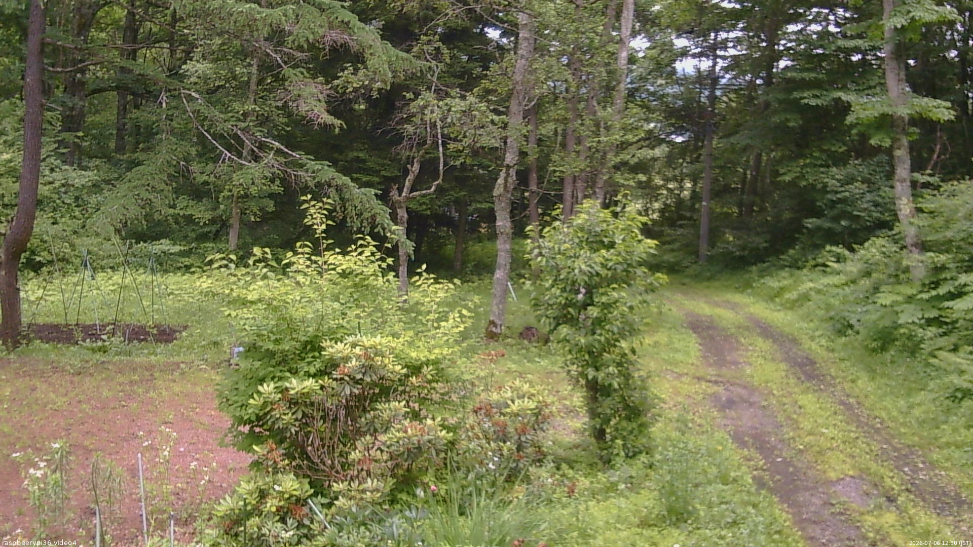 長野県菅平高原 ゆたか山荘 坂上 2026/07/06 12:30