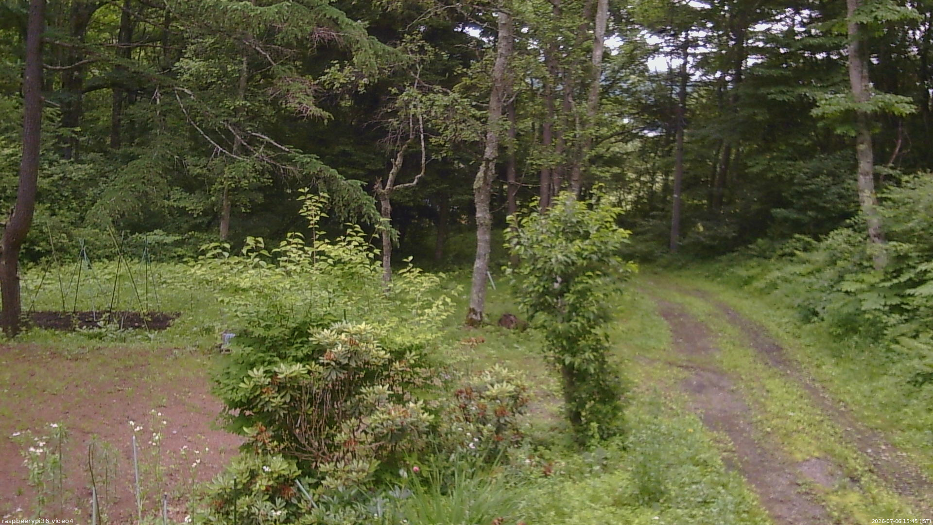 長野県菅平高原 ゆたか山荘 坂上 2026/07/06 15:45