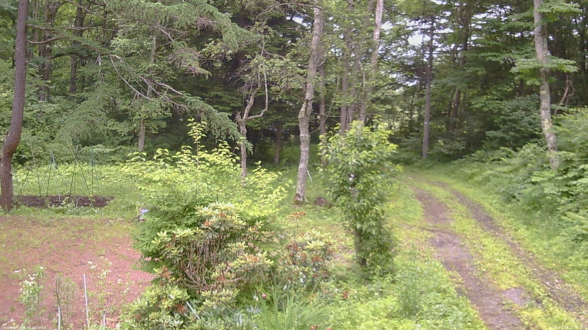長野県菅平高原 ゆたか山荘 坂上 2026/07/06 16:30