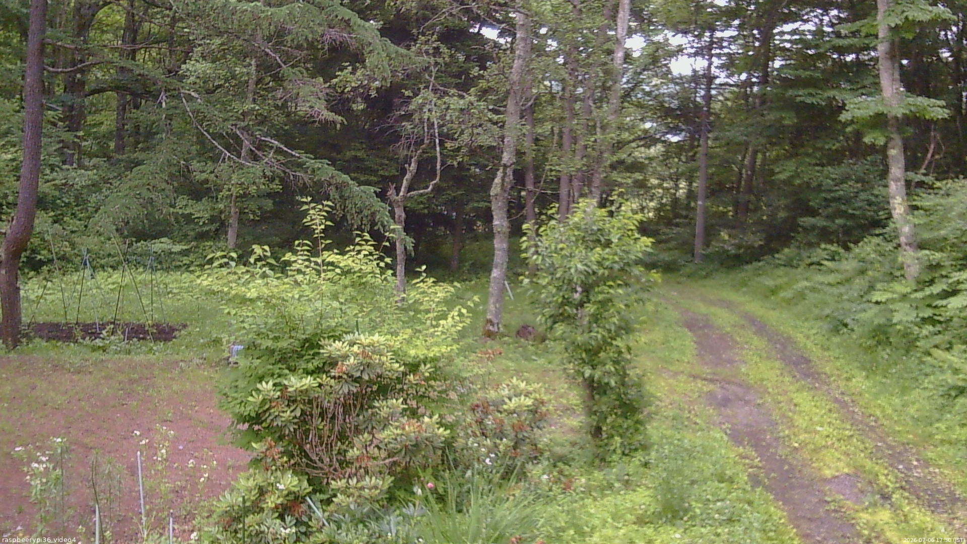 長野県菅平高原 ゆたか山荘 坂上 2026/07/06 17:30