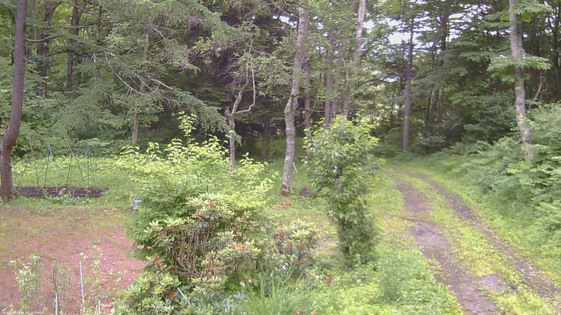 長野県菅平高原 ゆたか山荘 坂上 2026/07/06 18:00