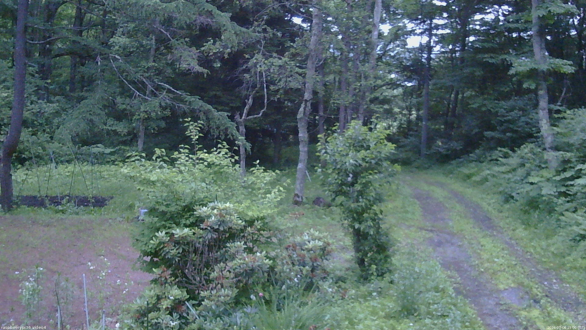 長野県菅平高原 ゆたか山荘 坂上 2026/07/06 19:00