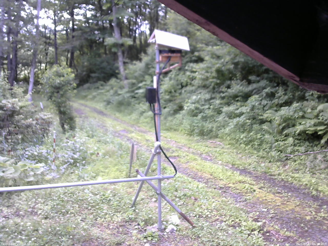 長野県菅平高原 ゆたか山荘 南側 2026/07/07 06:30