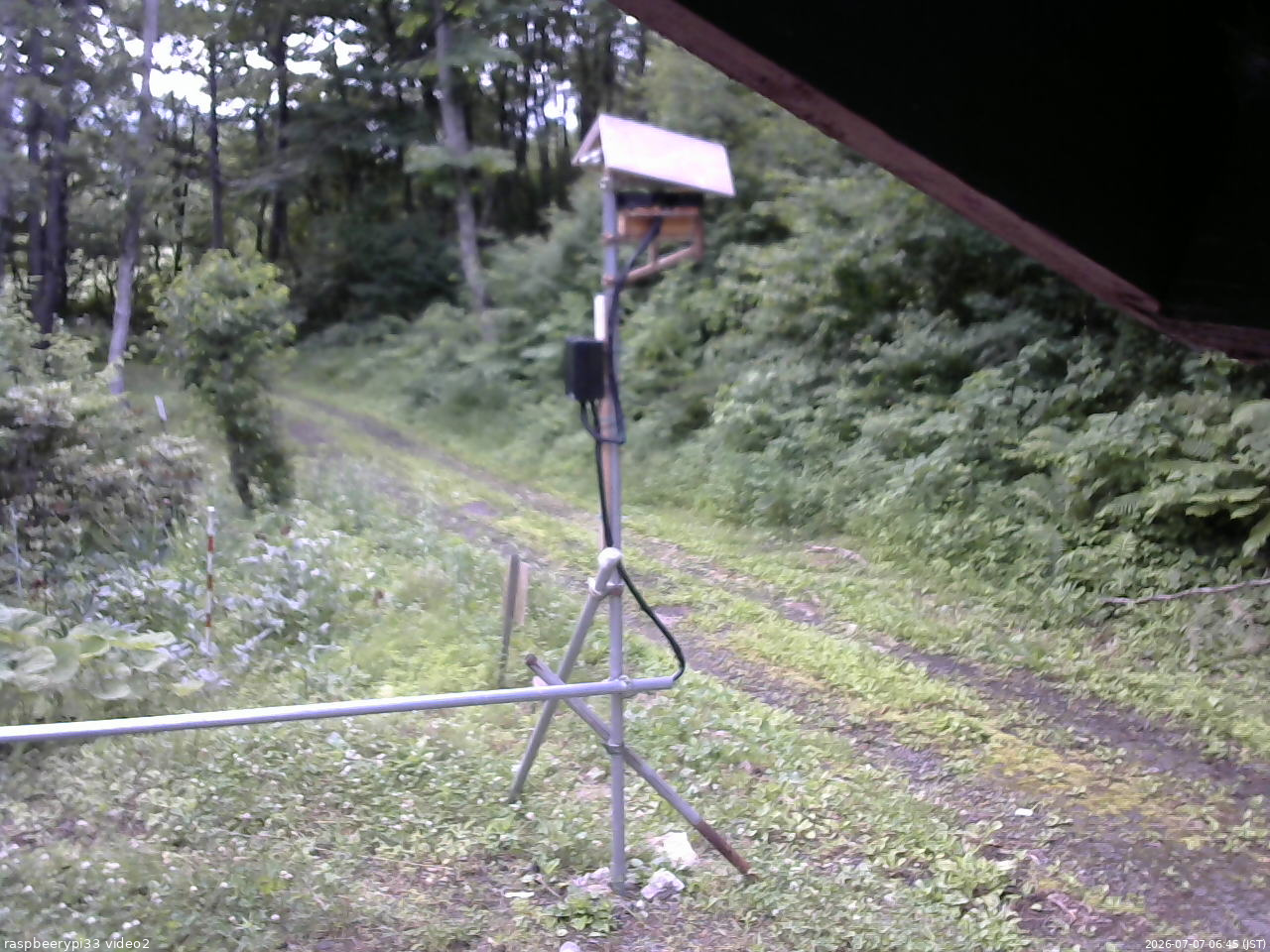長野県菅平高原 ゆたか山荘 南側 2026/07/07 06:45