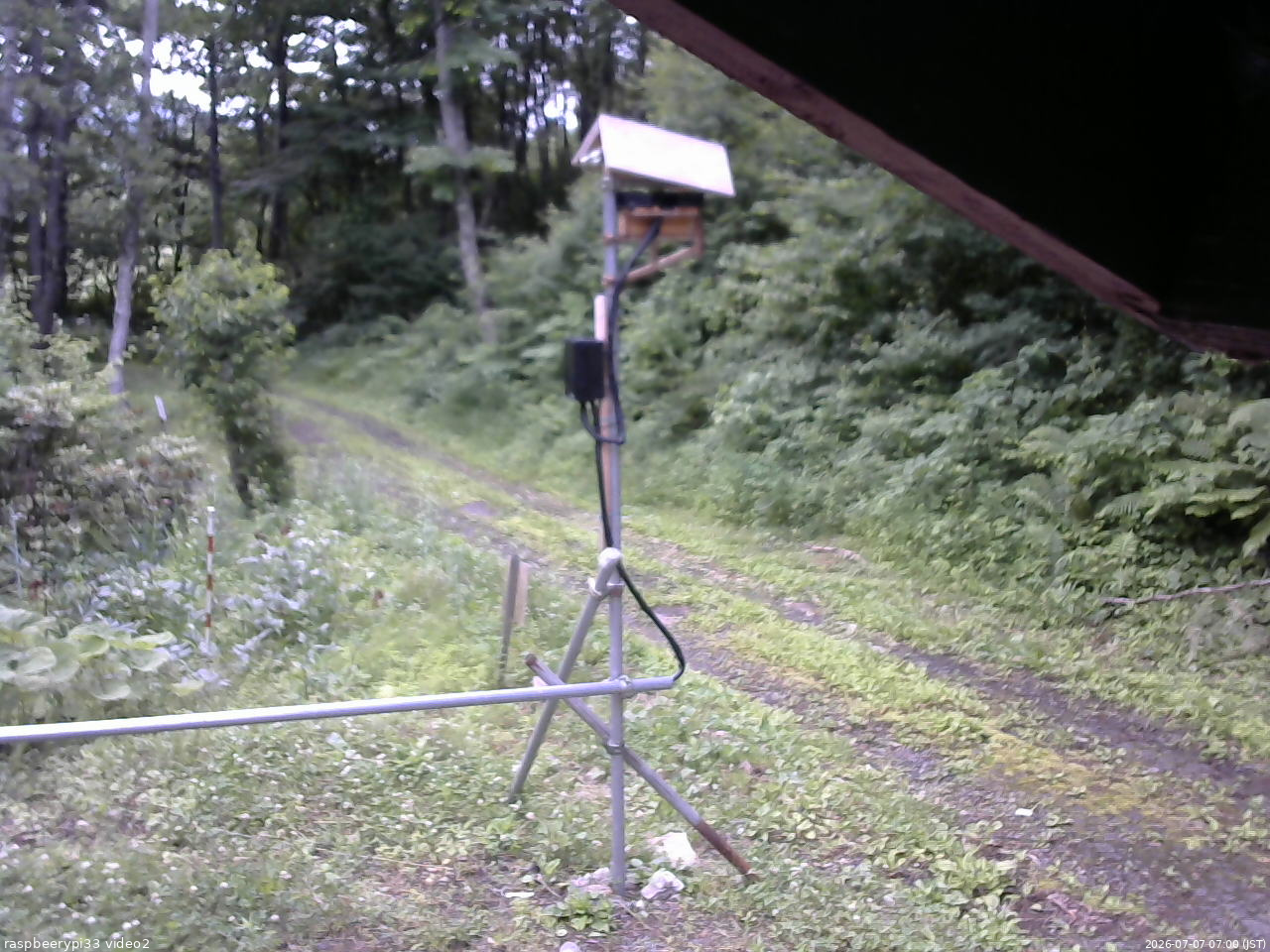 長野県菅平高原 ゆたか山荘 南側 2026/07/07 07:00