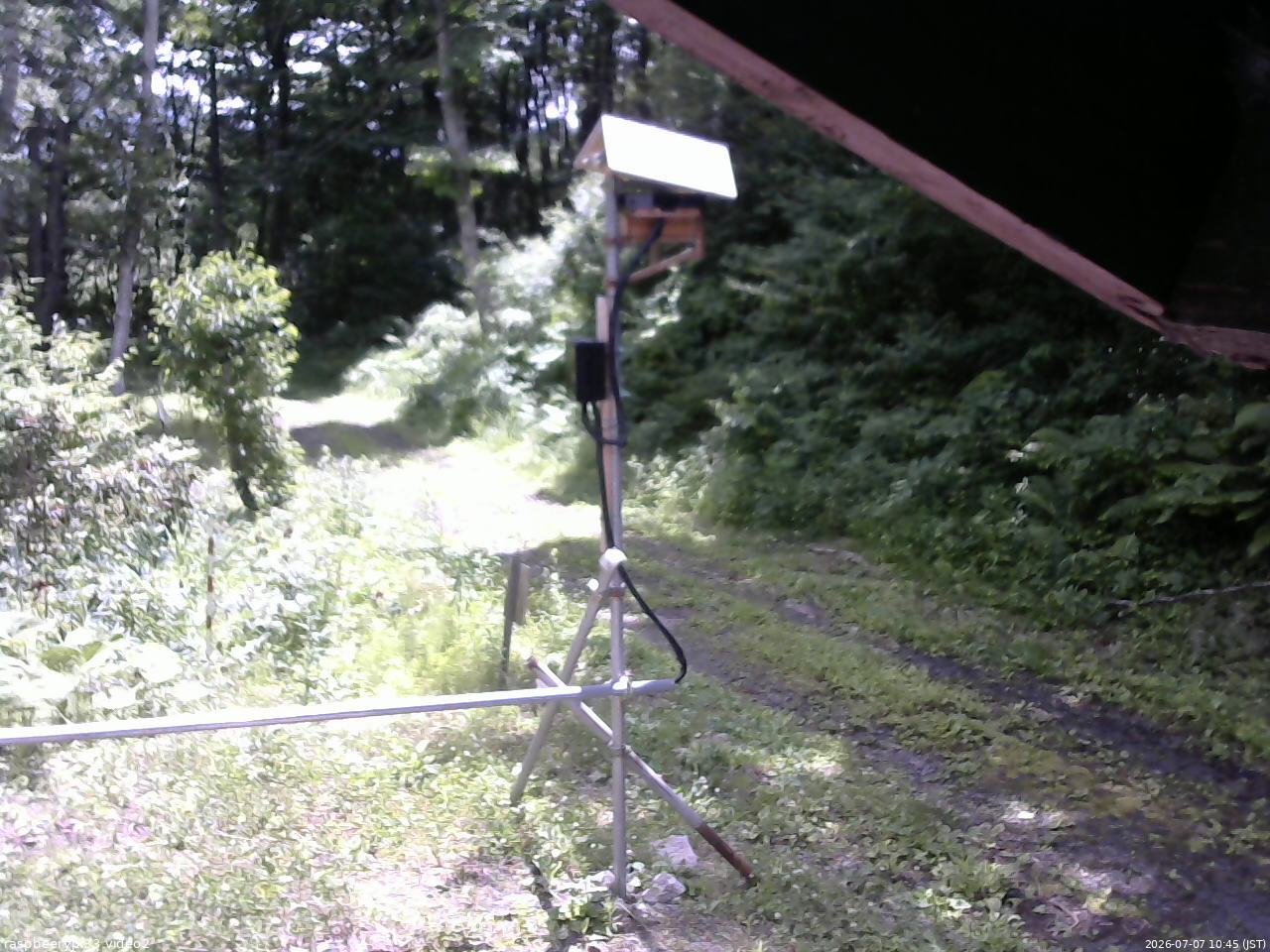 長野県菅平高原 ゆたか山荘 南側 2026/07/07 10:45
