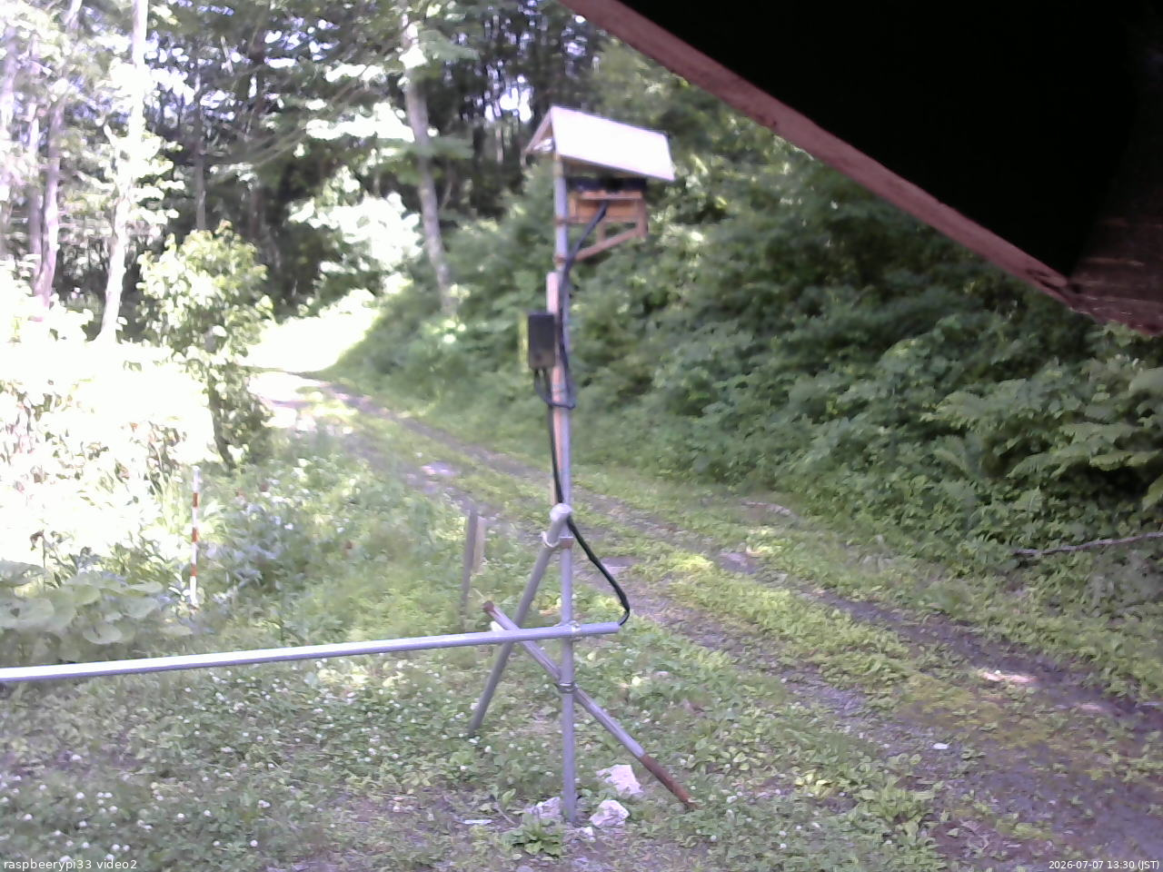 長野県菅平高原 ゆたか山荘 南側 2026/07/07 13:30