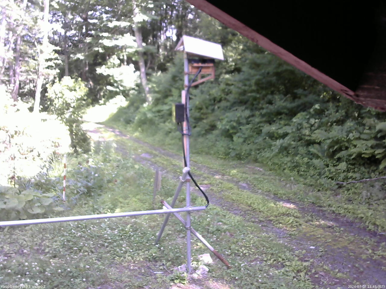 長野県菅平高原 ゆたか山荘 南側 2026/07/07 13:45
