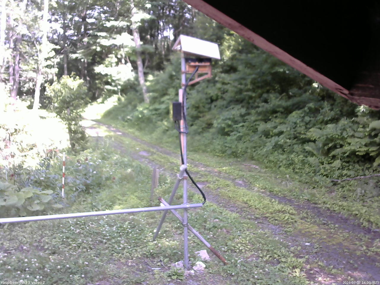 長野県菅平高原 ゆたか山荘 南側 2026/07/07 14:00