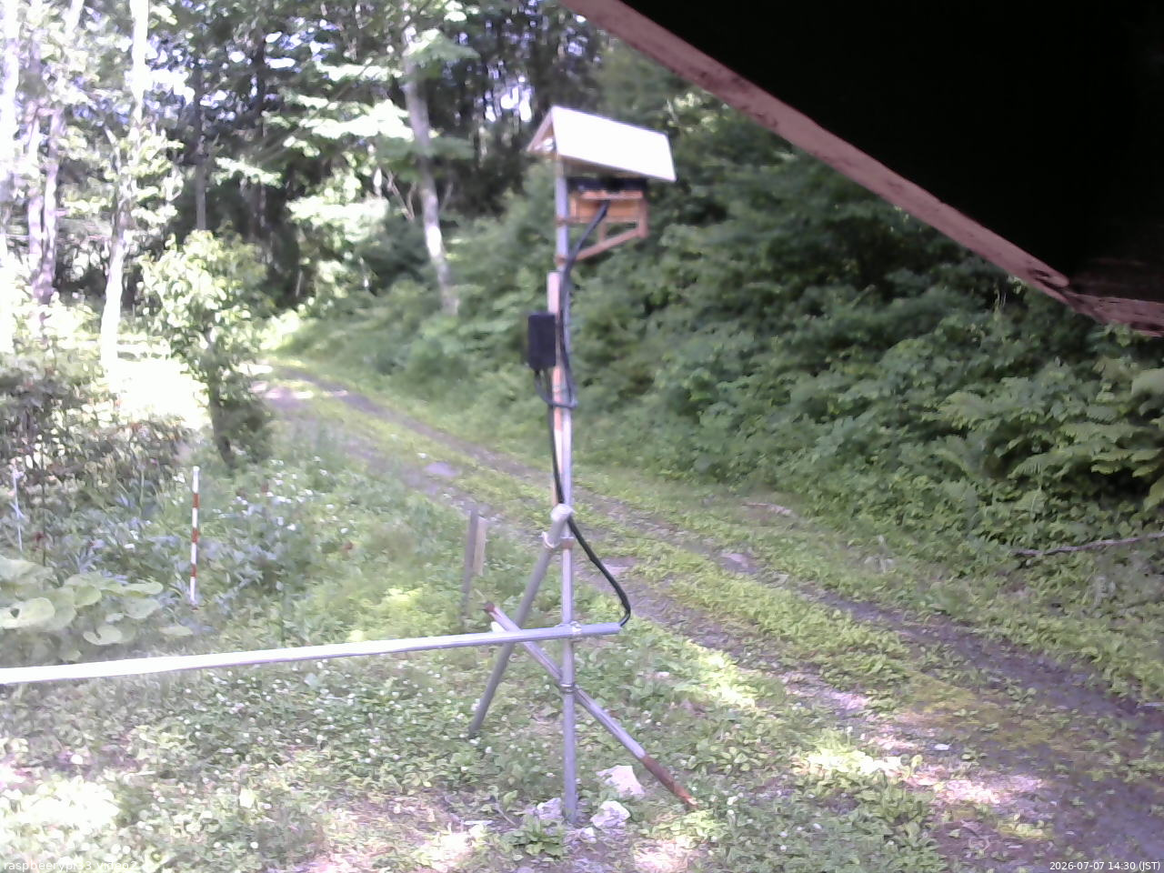 長野県菅平高原 ゆたか山荘 南側 2026/07/07 14:30