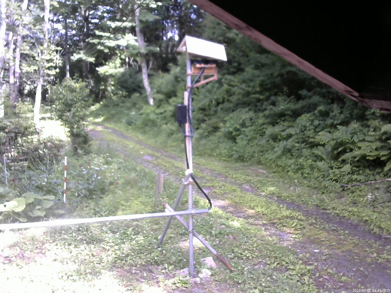 長野県菅平高原 ゆたか山荘 南側 2026/07/07 14:45
