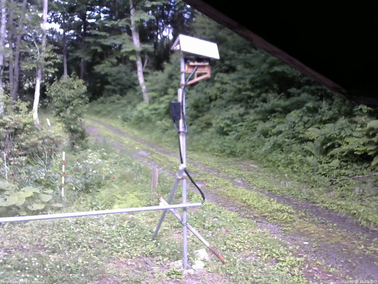 長野県菅平高原 ゆたか山荘 南側 2026/07/07 15:30