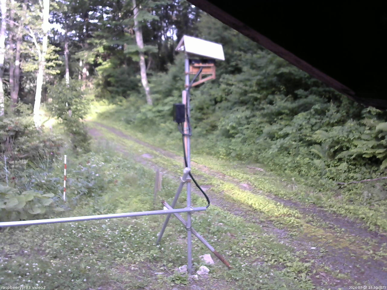 長野県菅平高原 ゆたか山荘 南側 2026/07/07 17:30