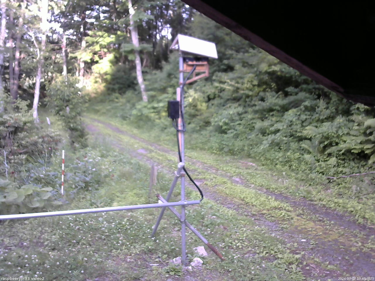 長野県菅平高原 ゆたか山荘 南側 2026/07/07 17:45