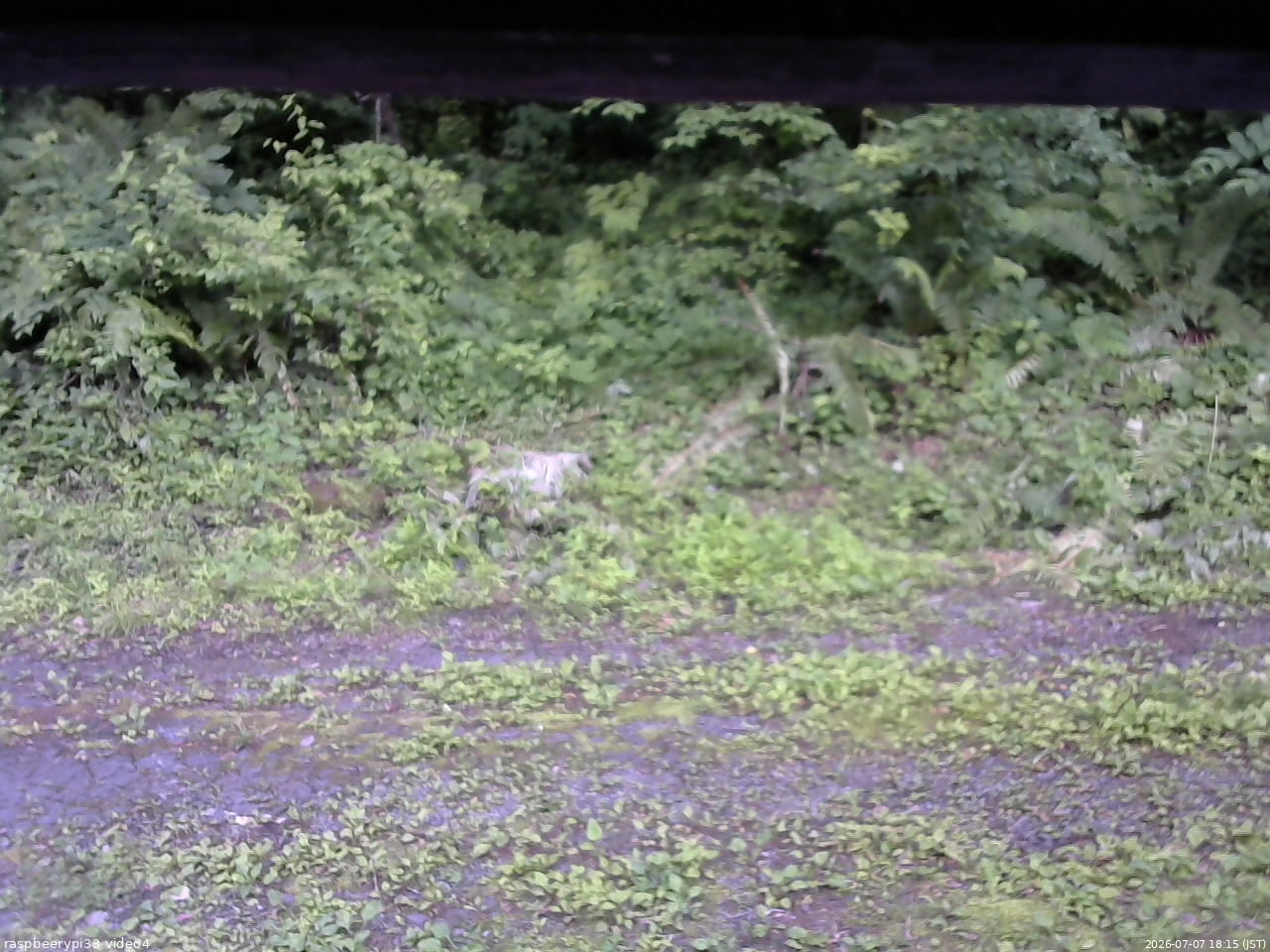 長野県菅平高原 ゆたか山荘 東側(坂下) 2026/07/07 18:15