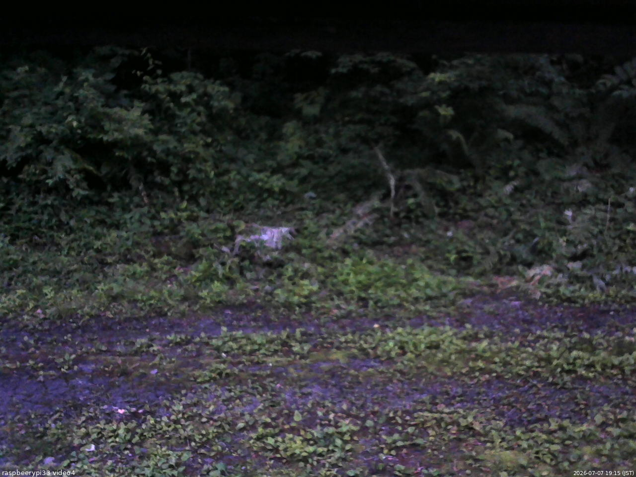長野県菅平高原 ゆたか山荘 東側(坂下) 2026/07/07 19:15