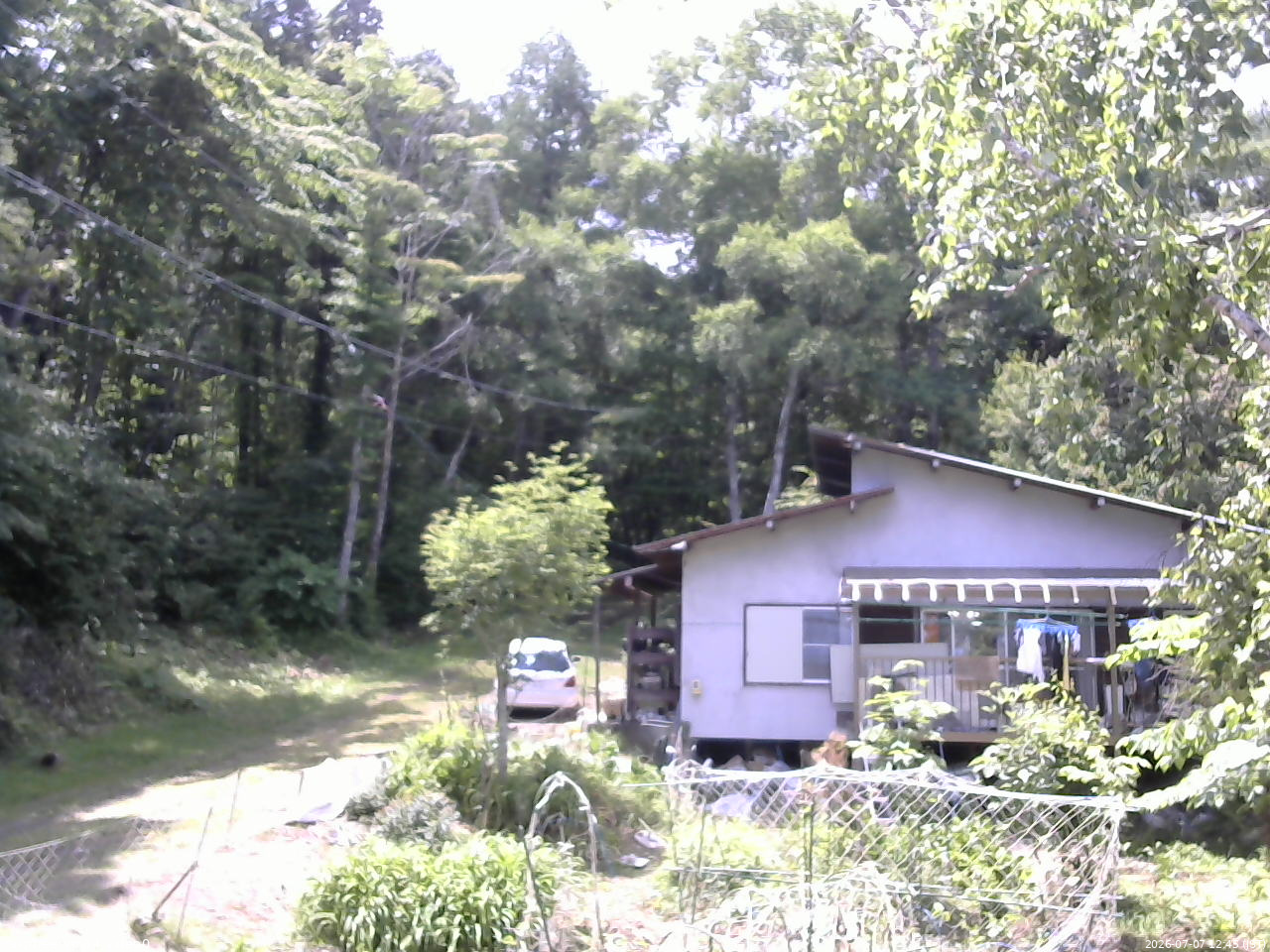長野県菅平高原 ゆたか山荘 西側(坂上) 2026/07/07 12:45