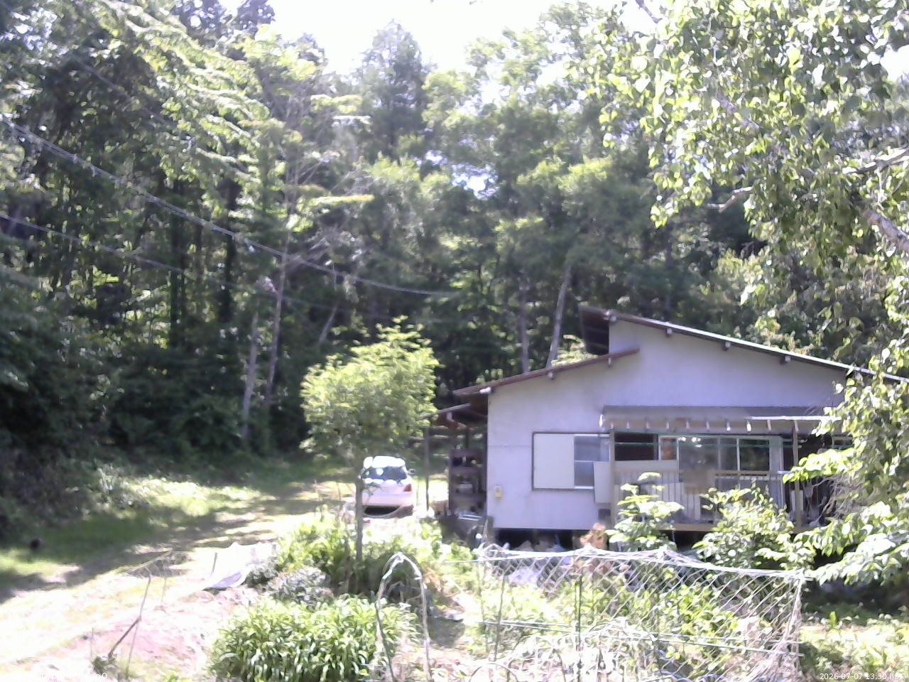 長野県菅平高原 ゆたか山荘 西側(坂上) 2026/07/07 13:30