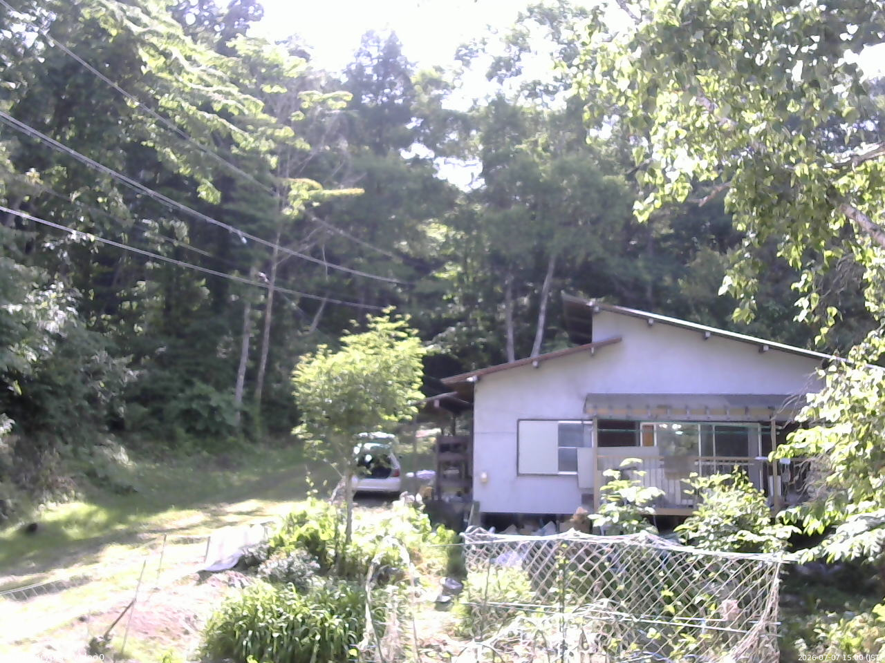 長野県菅平高原 ゆたか山荘 西側(坂上) 2026/07/07 15:00
