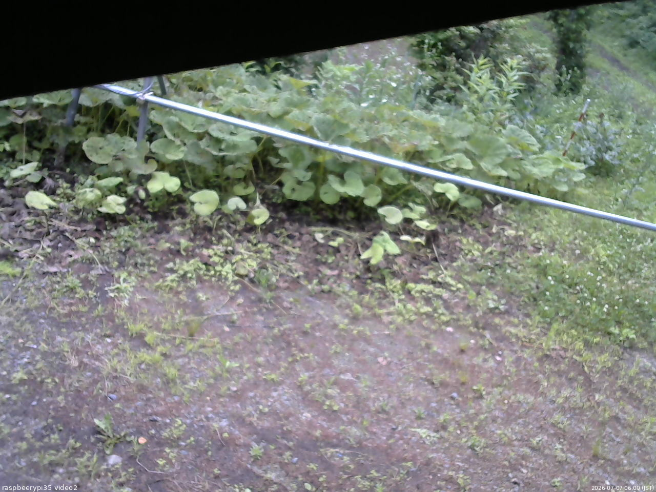長野県菅平高原 ゆたか山荘 駐車場 2026/07/07 06:00
