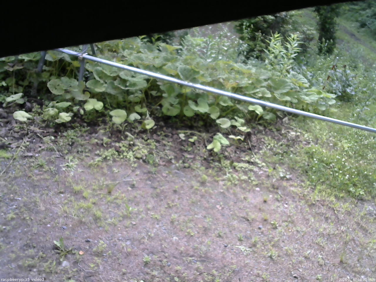長野県菅平高原 ゆたか山荘 駐車場 2026/07/07 08:00
