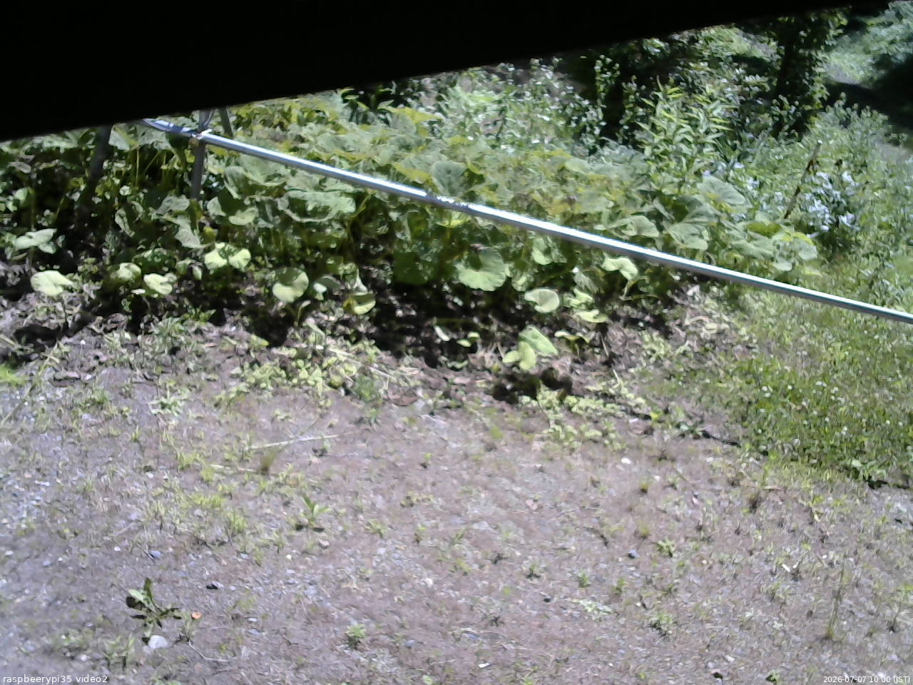 長野県菅平高原 ゆたか山荘 駐車場 2026/07/07 10:00