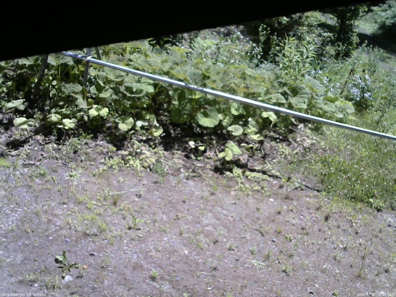 長野県菅平高原 ゆたか山荘 駐車場 2026/07/07 10:15