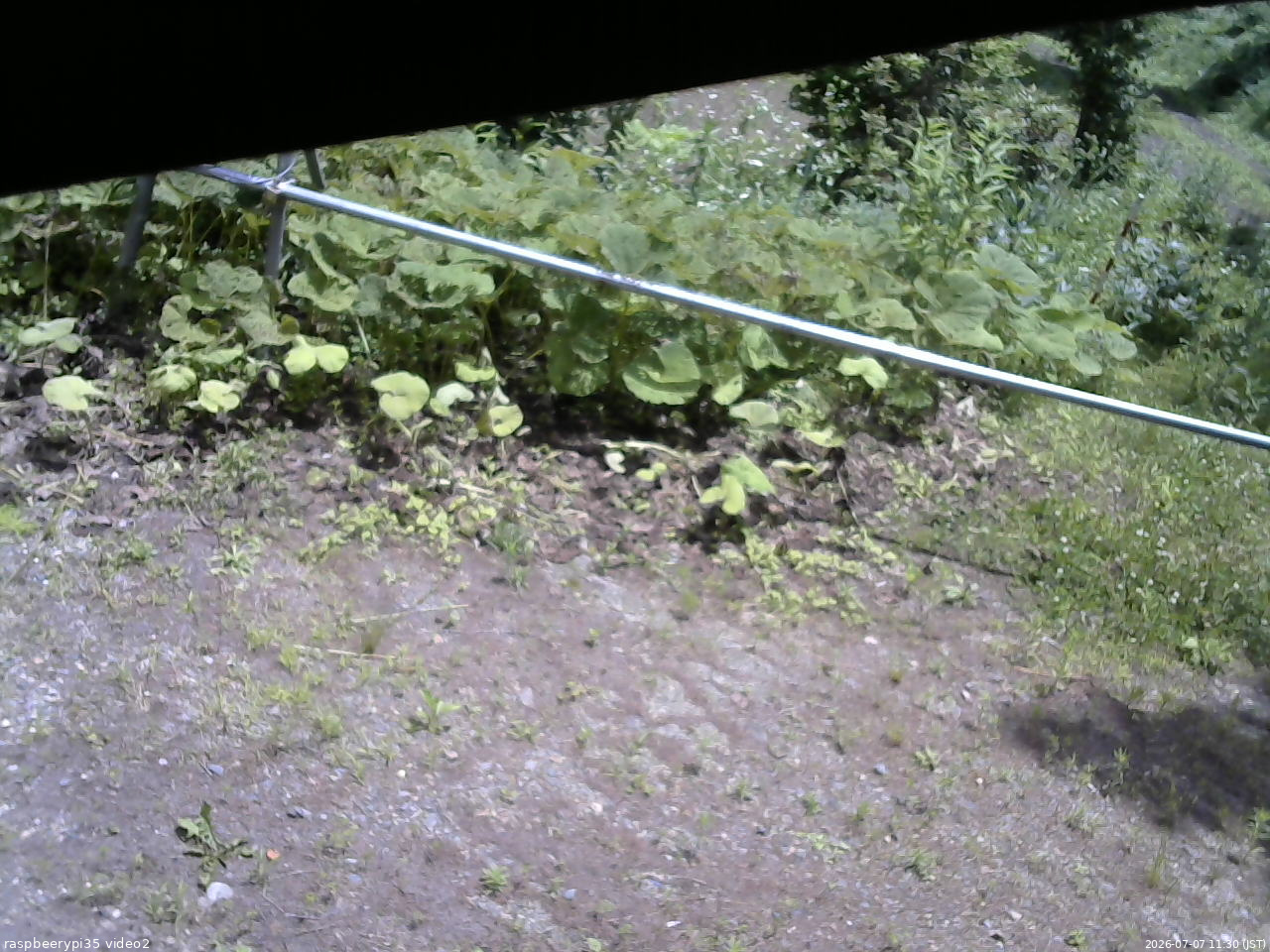 長野県菅平高原 ゆたか山荘 駐車場 2026/07/07 11:30