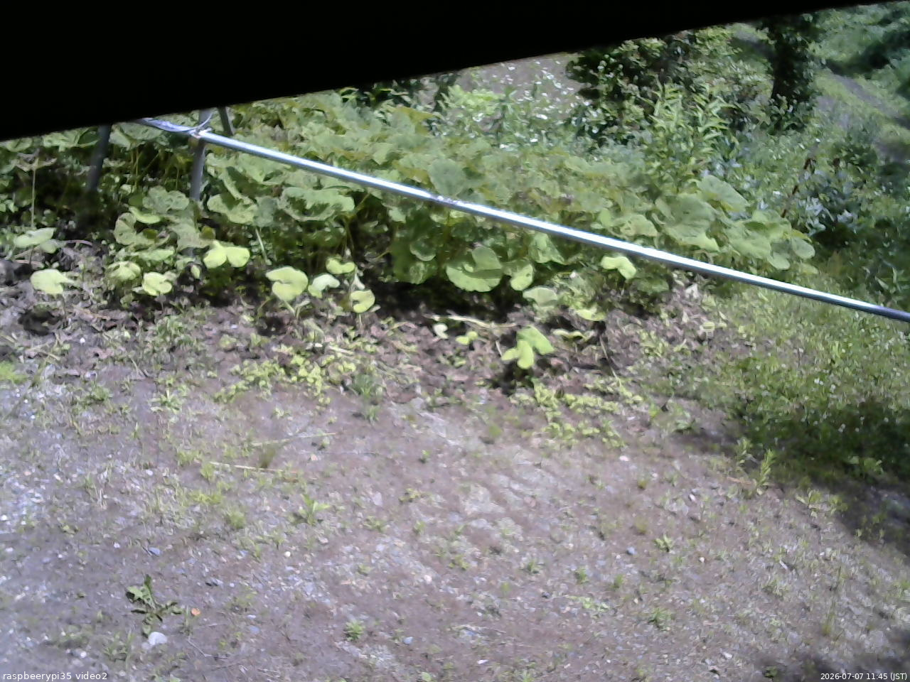 長野県菅平高原 ゆたか山荘 駐車場 2026/07/07 11:45