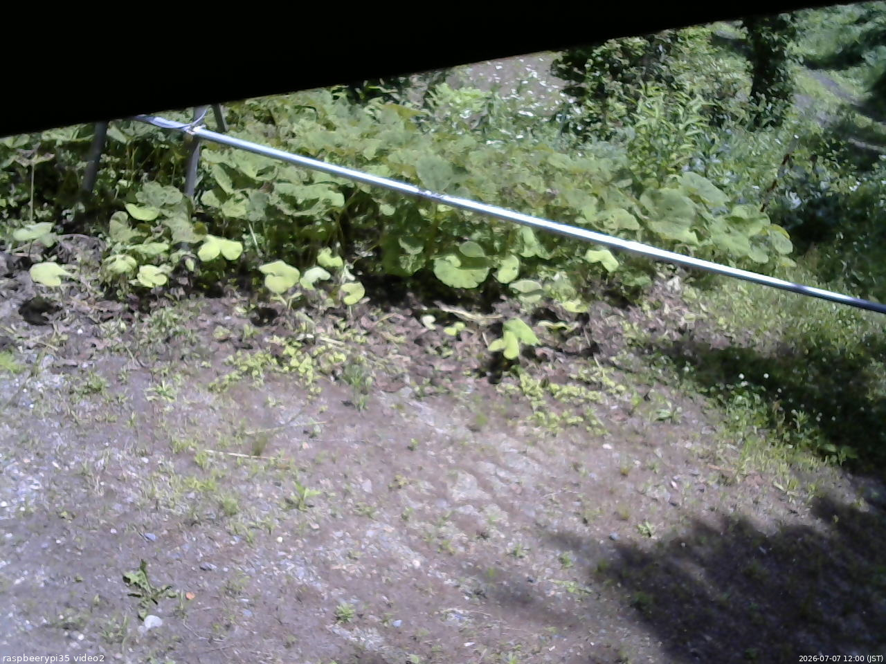 長野県菅平高原 ゆたか山荘 駐車場 2026/07/07 12:00