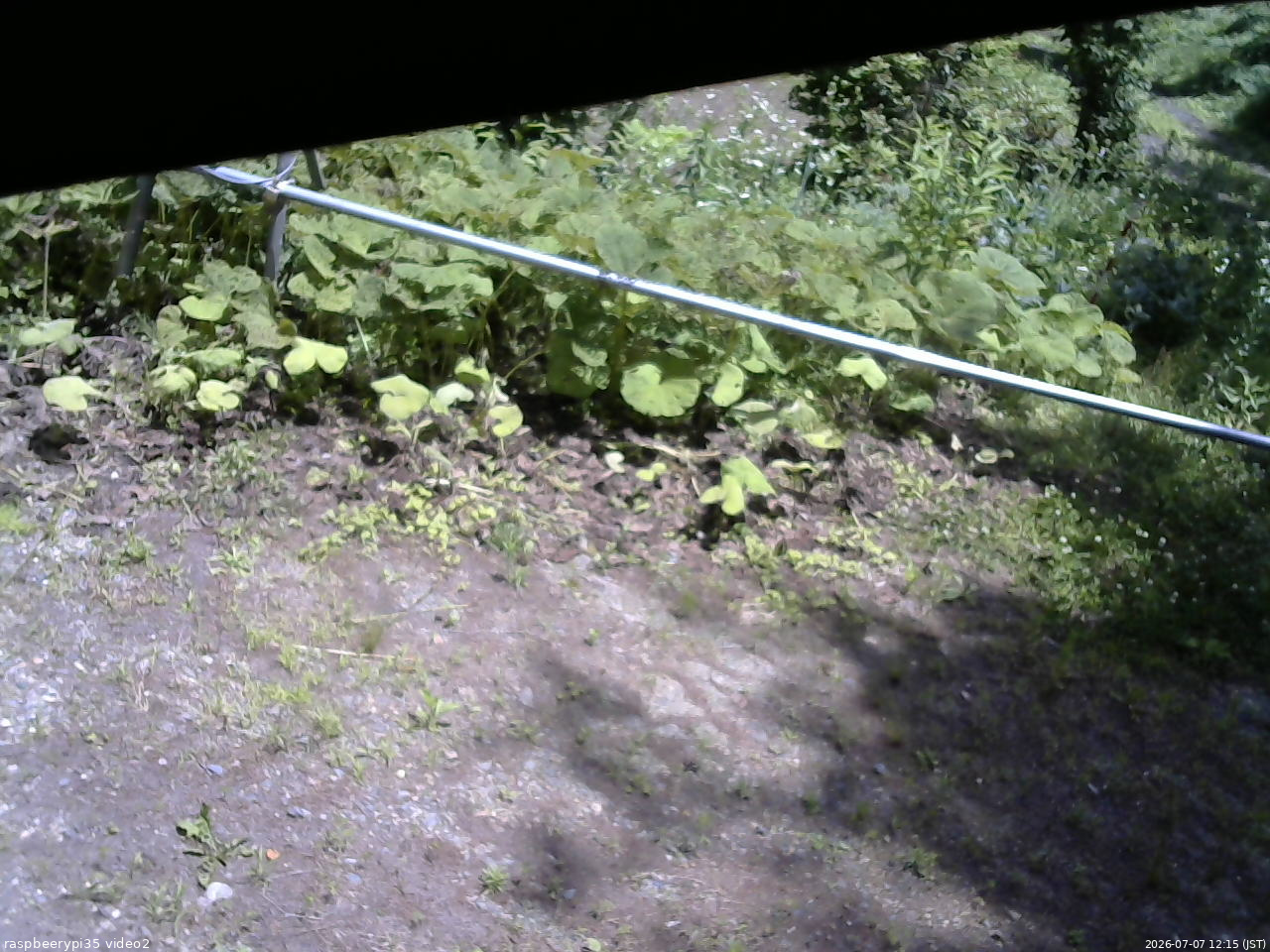 長野県菅平高原 ゆたか山荘 駐車場 2026/07/07 12:15