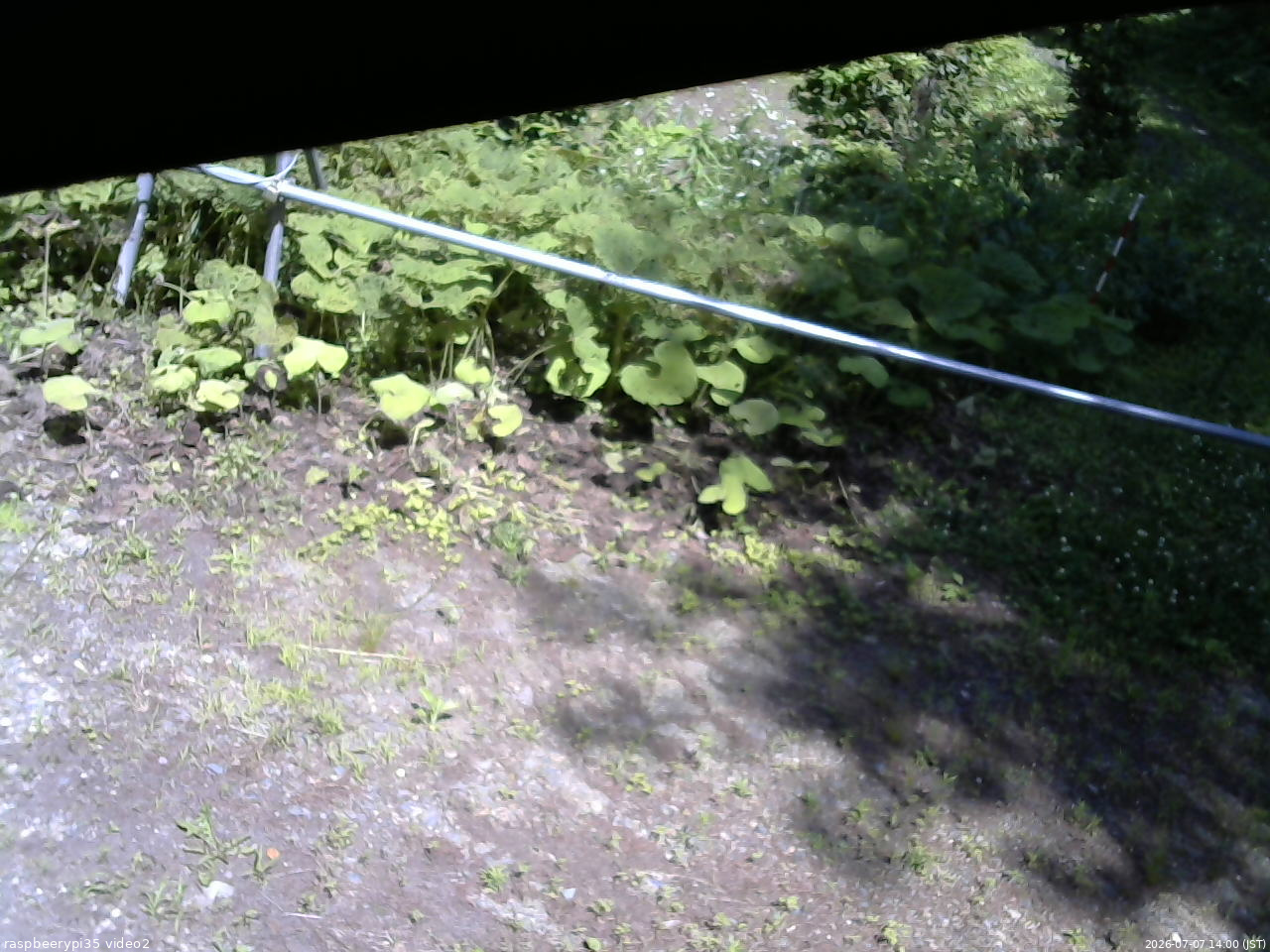 長野県菅平高原 ゆたか山荘 駐車場 2026/07/07 14:00