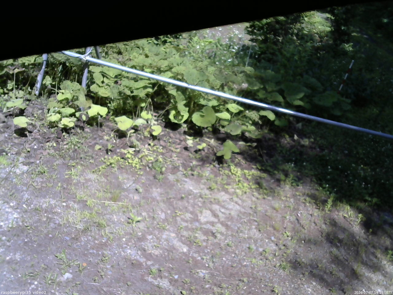長野県菅平高原 ゆたか山荘 駐車場 2026/07/07 14:15