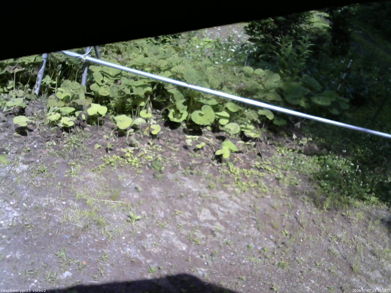 長野県菅平高原 ゆたか山荘 駐車場 2026/07/07 14:30
