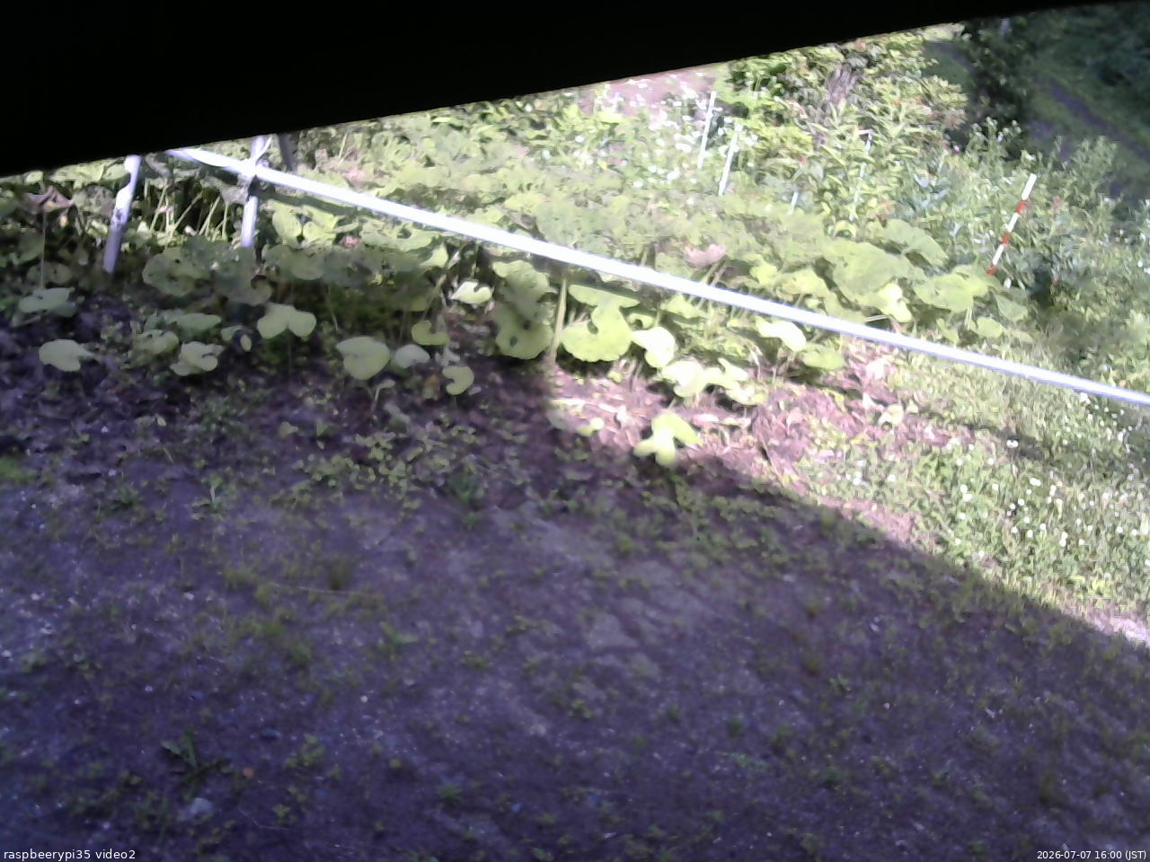 長野県菅平高原 ゆたか山荘 駐車場 2026/07/07 16:00