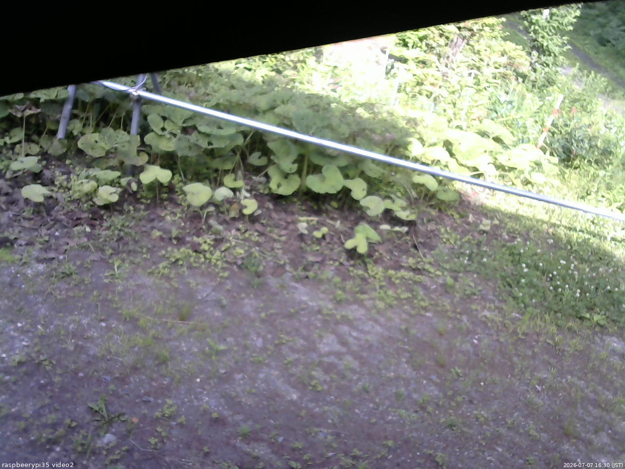 長野県菅平高原 ゆたか山荘 駐車場 2026/07/07 16:30
