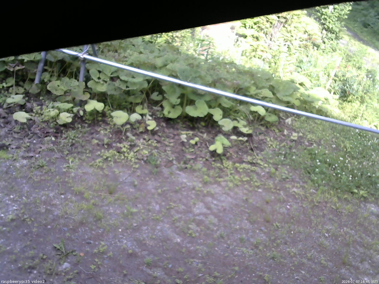 長野県菅平高原 ゆたか山荘 駐車場 2026/07/07 16:45