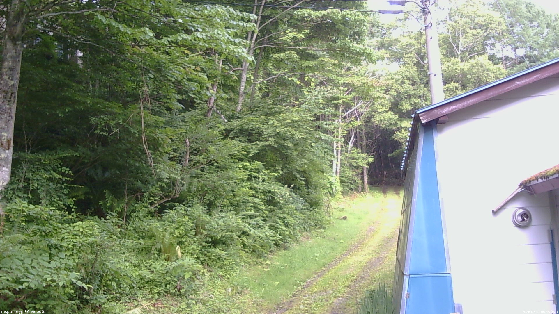 長野県菅平高原 ゆたか山荘 ゆたか山荘 2026/07/07 06:45