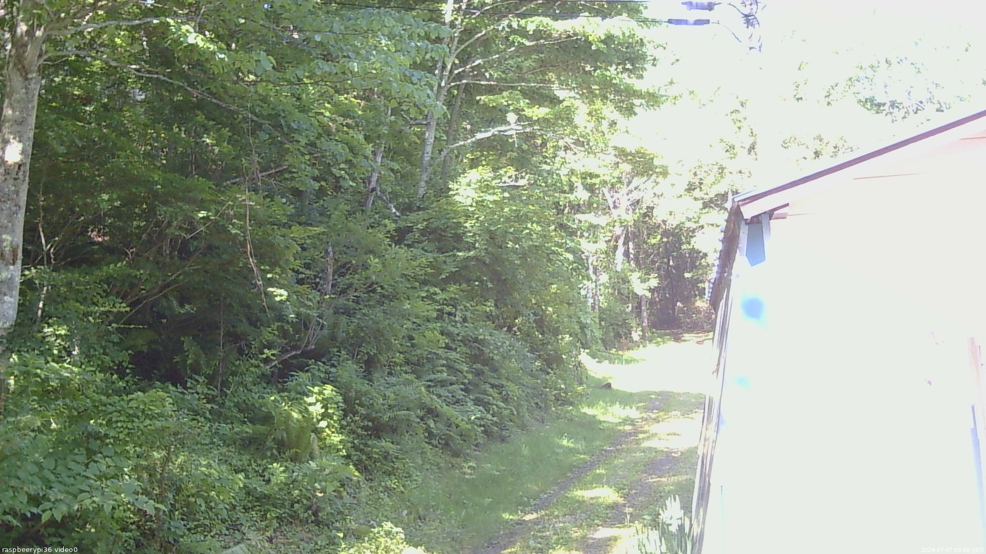 長野県菅平高原 ゆたか山荘 ゆたか山荘 2026/07/07 09:00