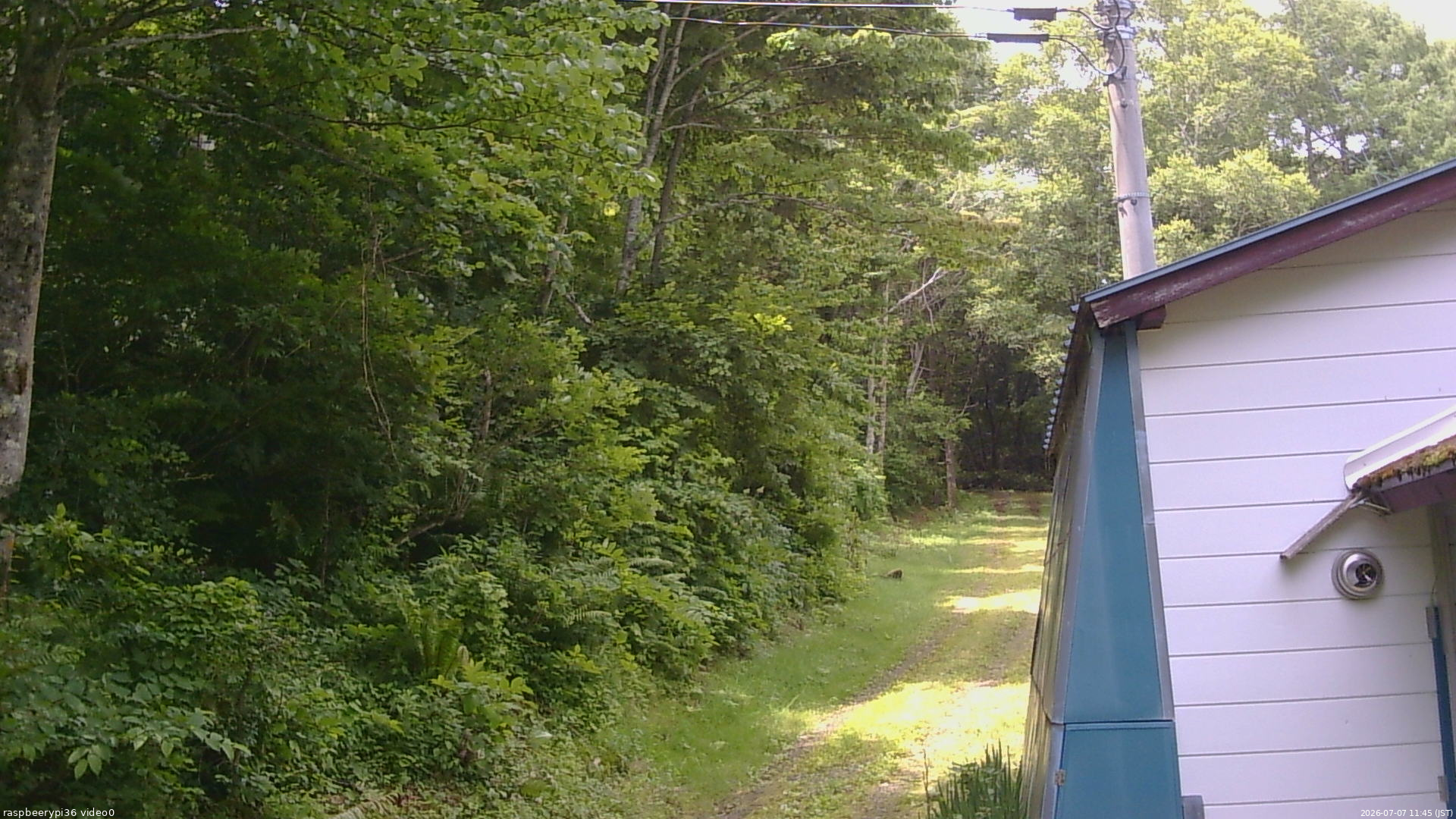 長野県菅平高原 ゆたか山荘 ゆたか山荘 2026/07/07 11:45