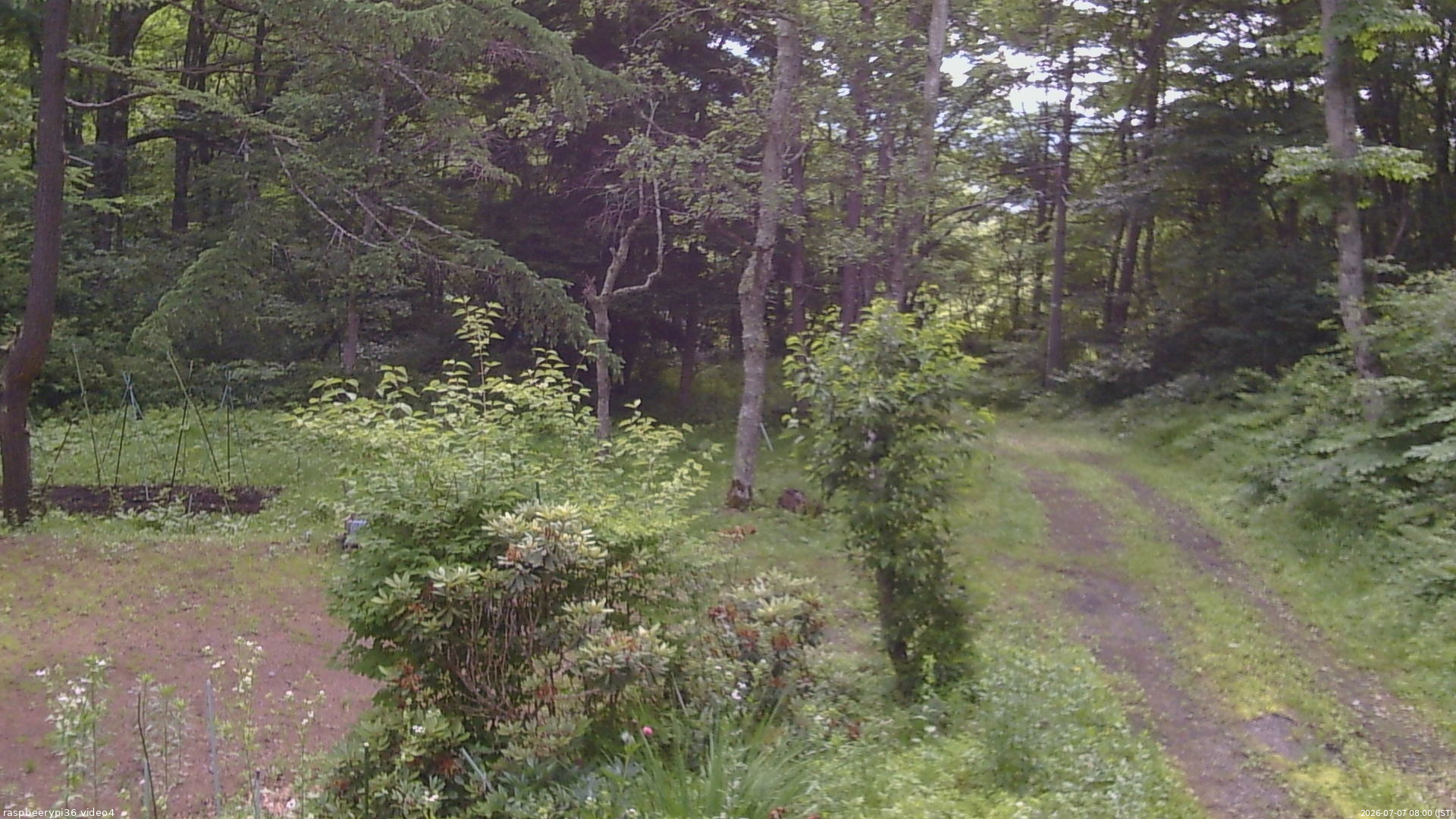 長野県菅平高原 ゆたか山荘 坂上 2026/07/07 08:00