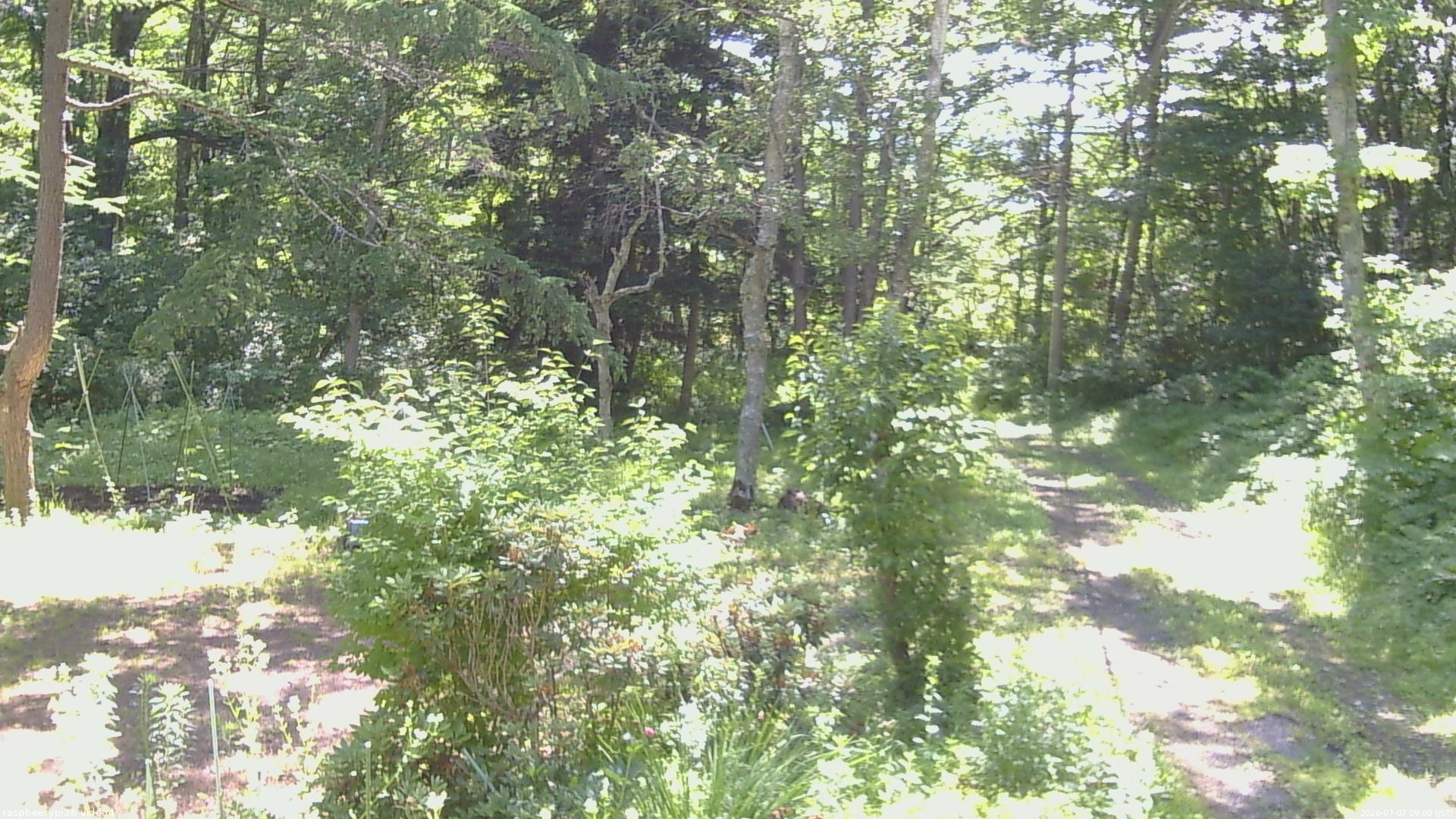 長野県菅平高原 ゆたか山荘 坂上 2026/07/07 09:00