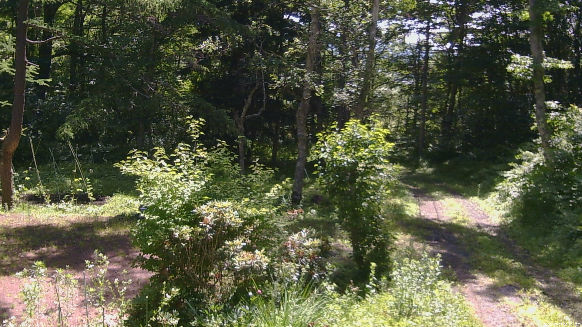 長野県菅平高原 ゆたか山荘 坂上 2026/07/07 09:30
