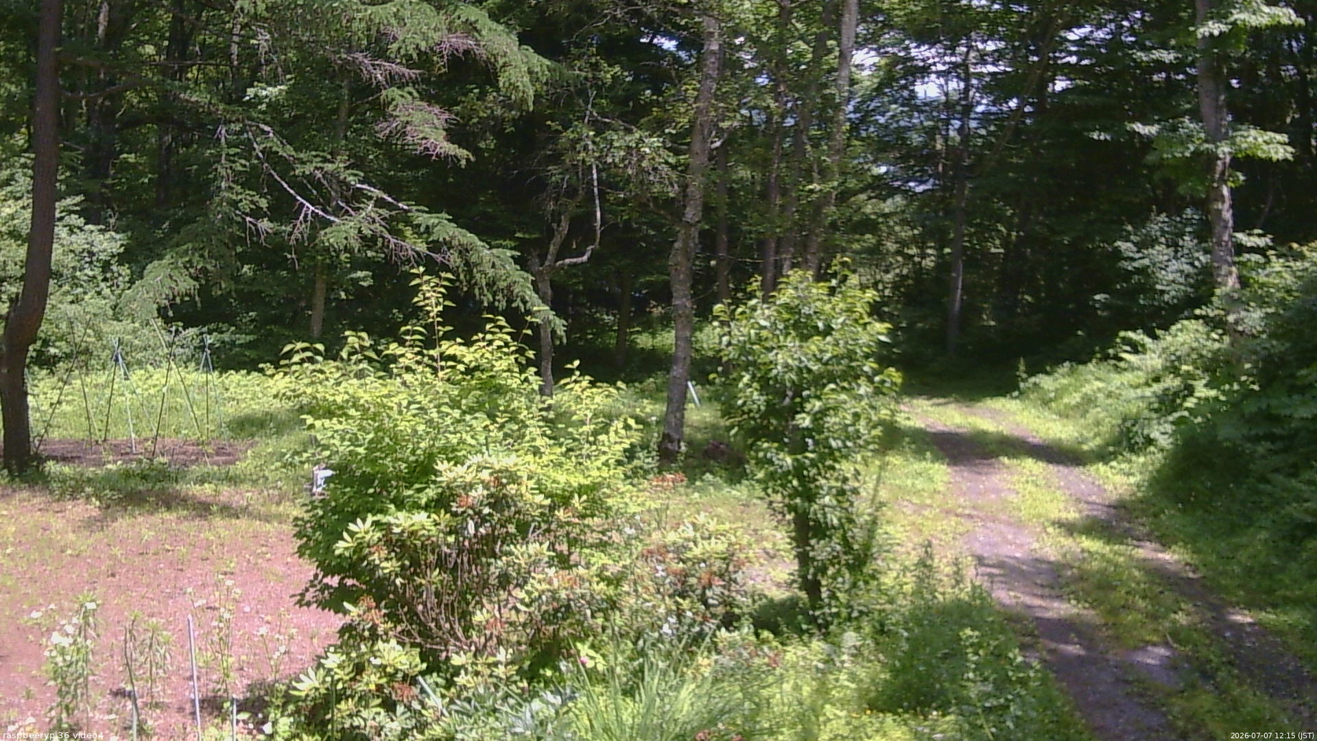 長野県菅平高原 ゆたか山荘 坂上 2026/07/07 12:15