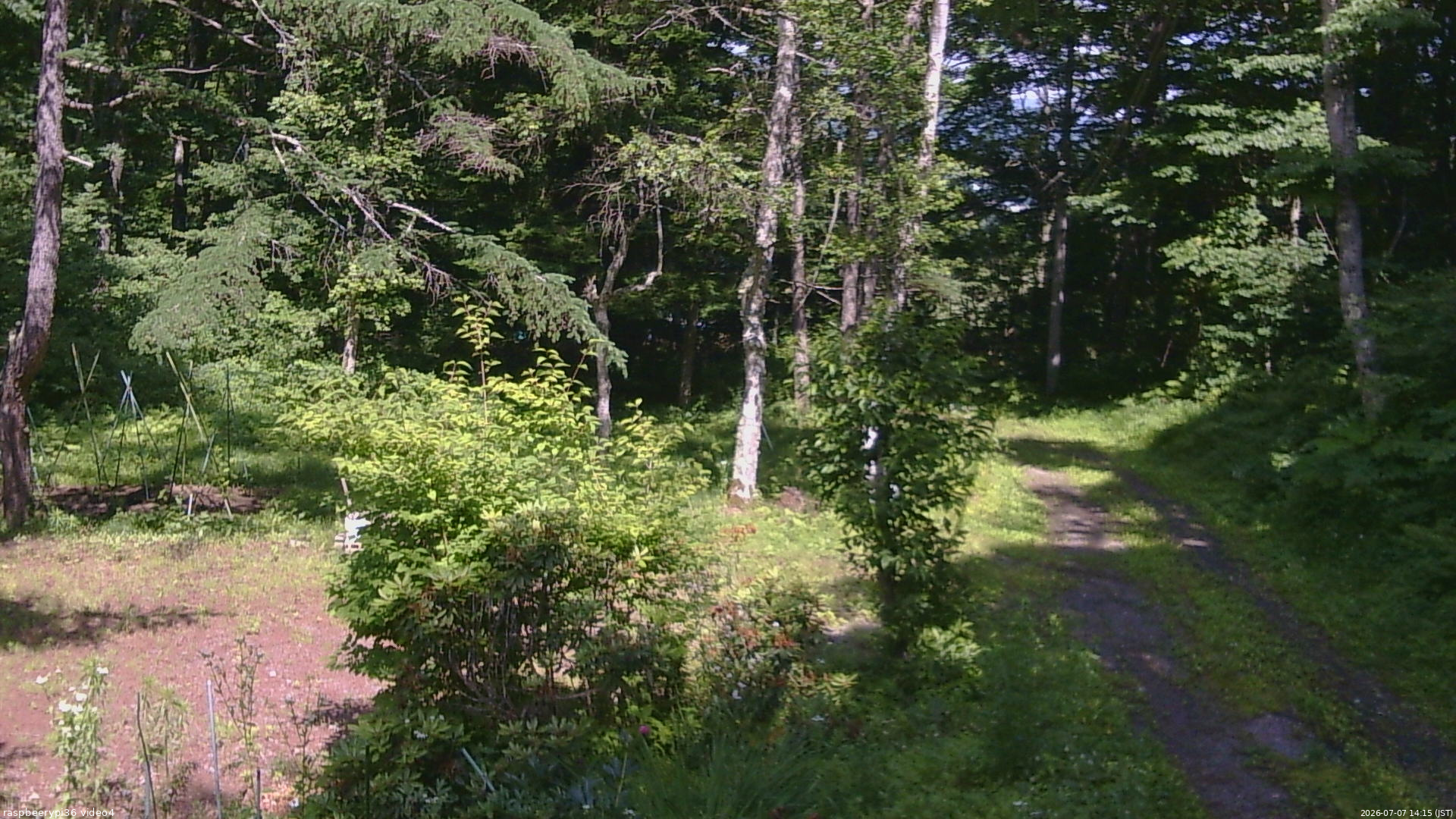 長野県菅平高原 ゆたか山荘 坂上 2026/07/07 14:15