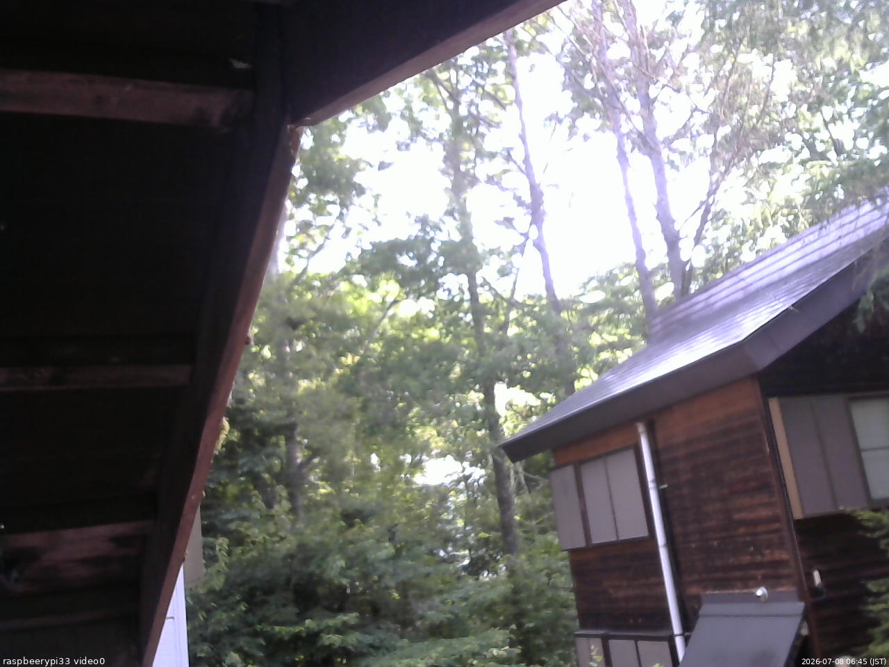 長野県菅平高原 ゆたか山荘 北側 2026/07/08 06:45
