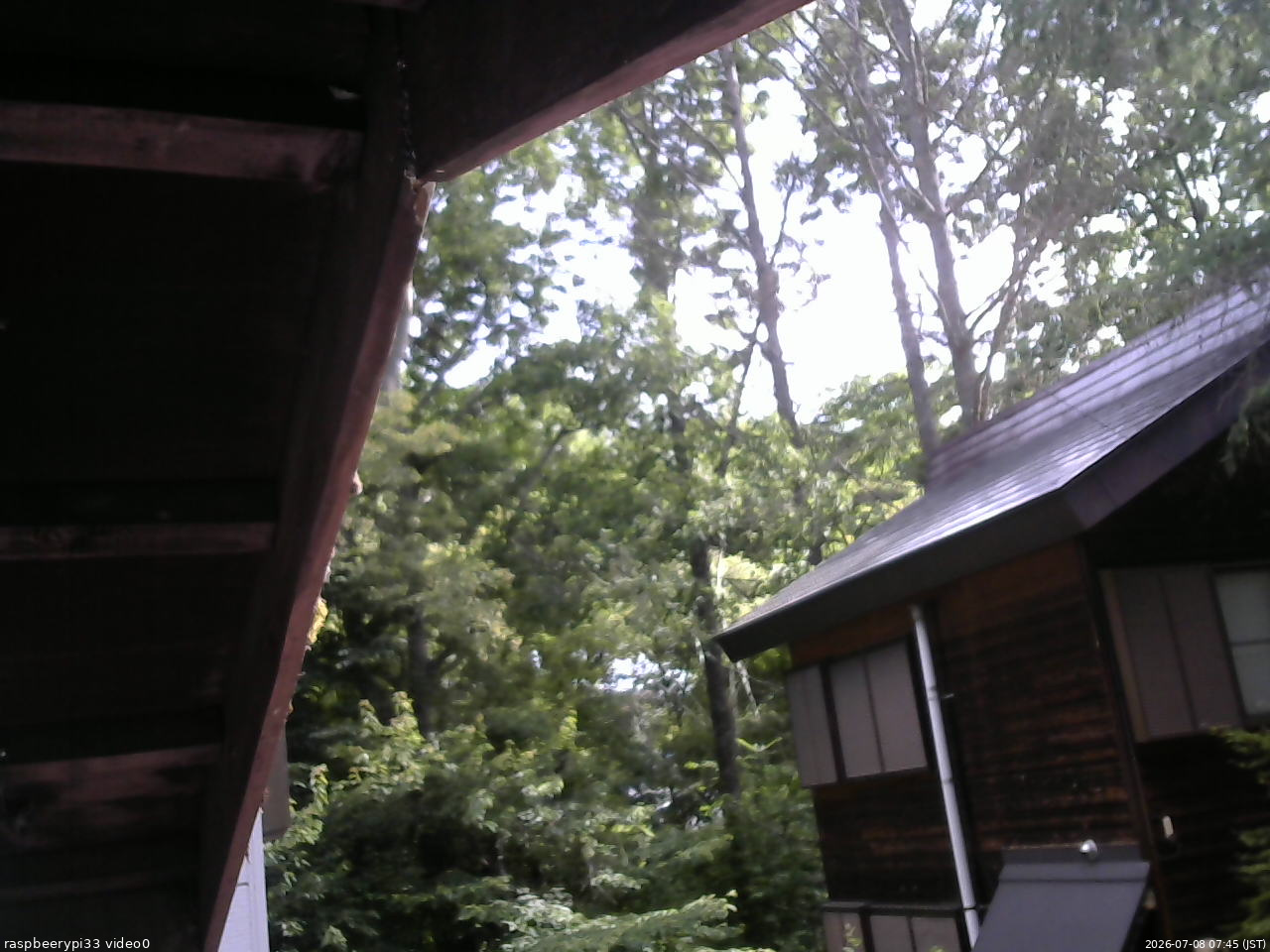 長野県菅平高原 ゆたか山荘 北側 2026/07/08 07:45